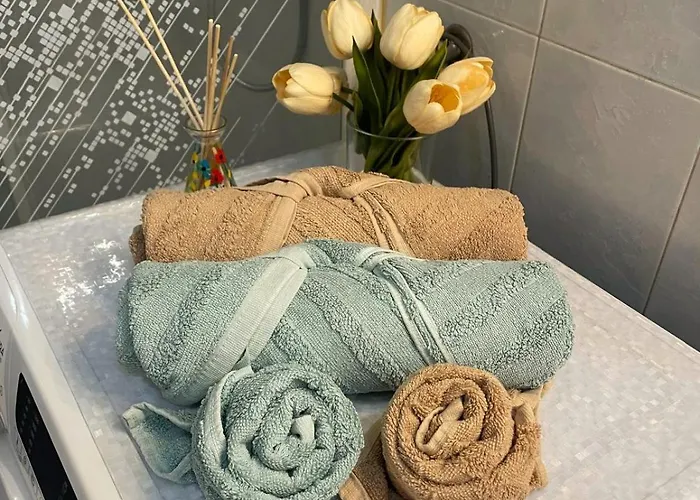 La Mia Dolce Casa In Apartment Turin